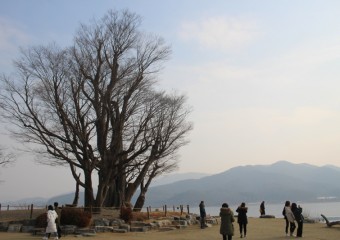 ‘힐링’을 찾아 떠난 당일치기 양평 여행
